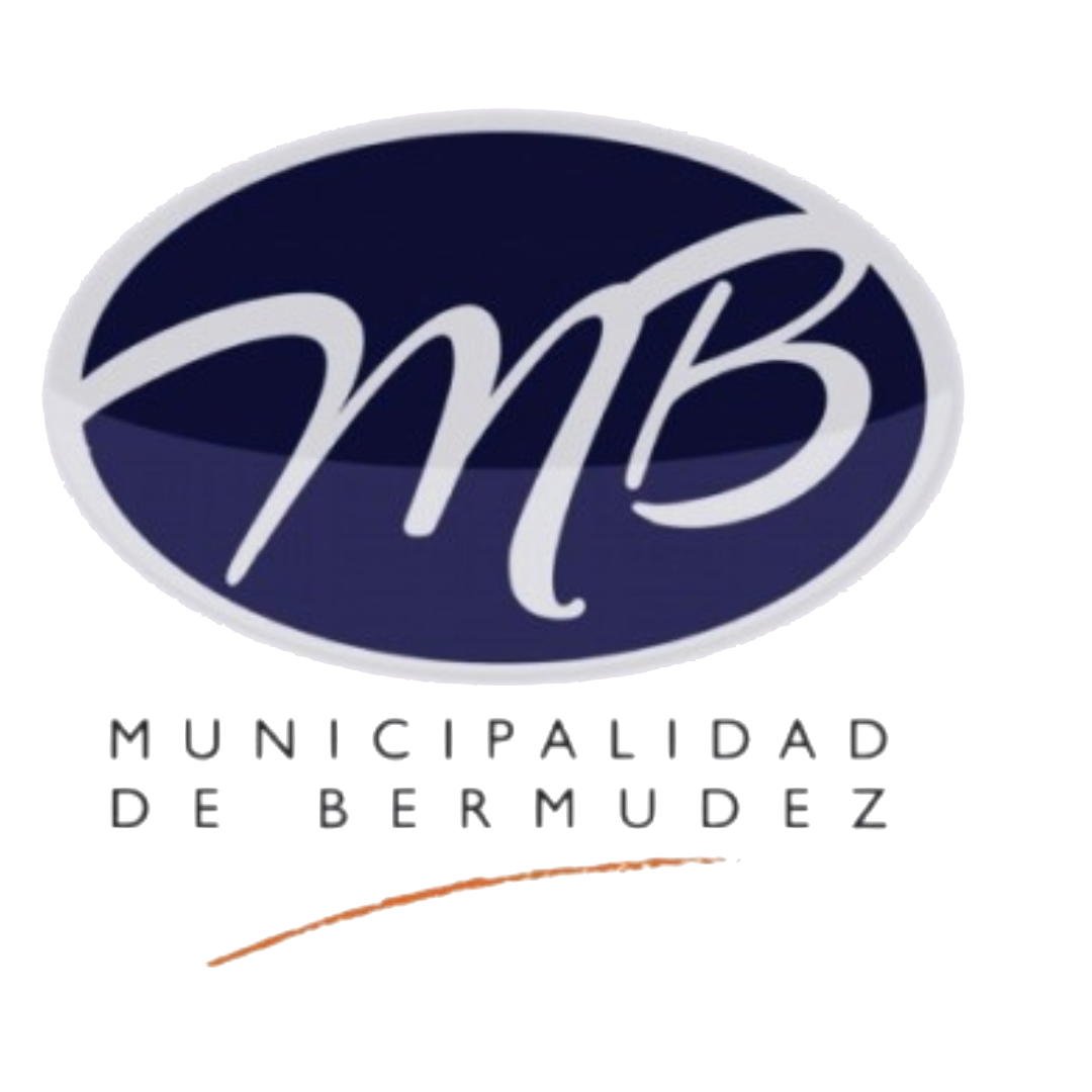 Logo 1
